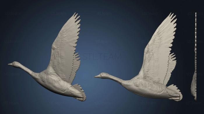 3D model Swan fly (STL)